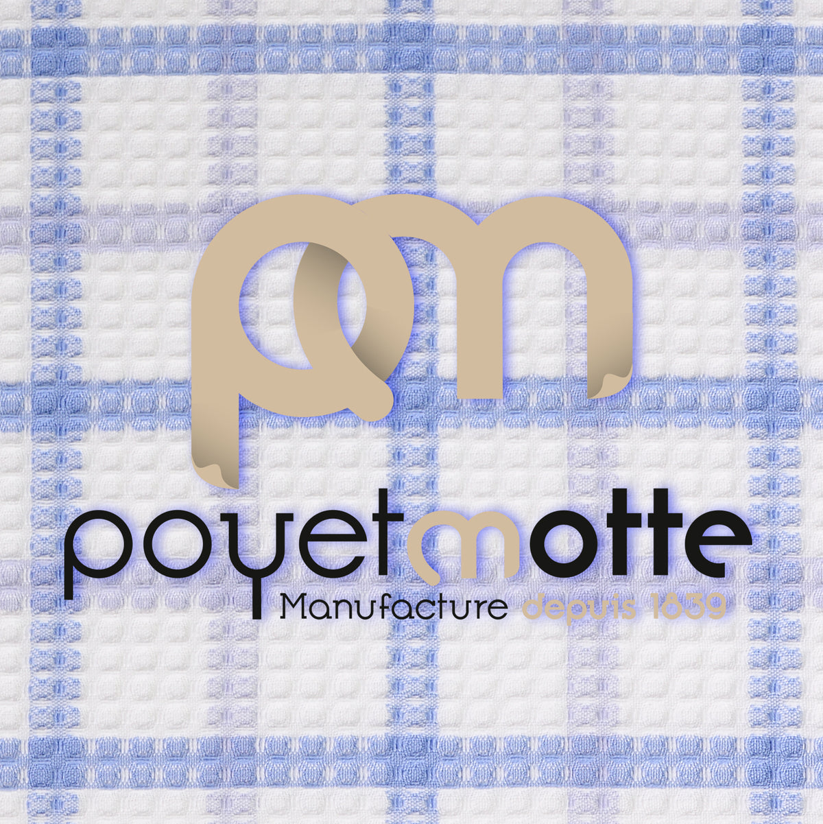 Poyet Motte Alvex Professional Chefs Towels (Pack of 4) Blue/White