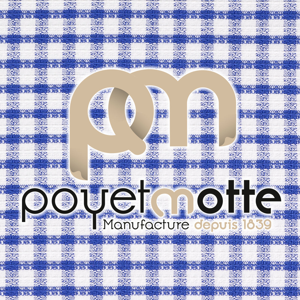 Poyet Motte Timex Professional Chefs Towels (Pack of 4) Blue